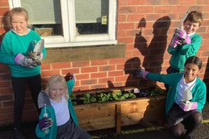 Green Fingers at Roecliffe!