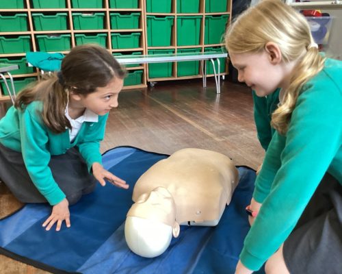 First Aid Experts!