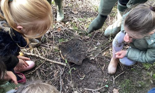 Forest School 04.03.24