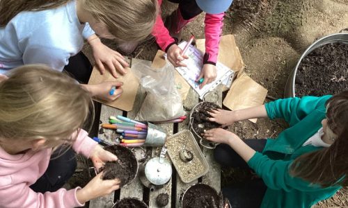 Forest School 13.05.24