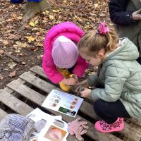 Forest School Class 2 – 06.12.24