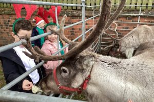 Roecliffe Reindeer!